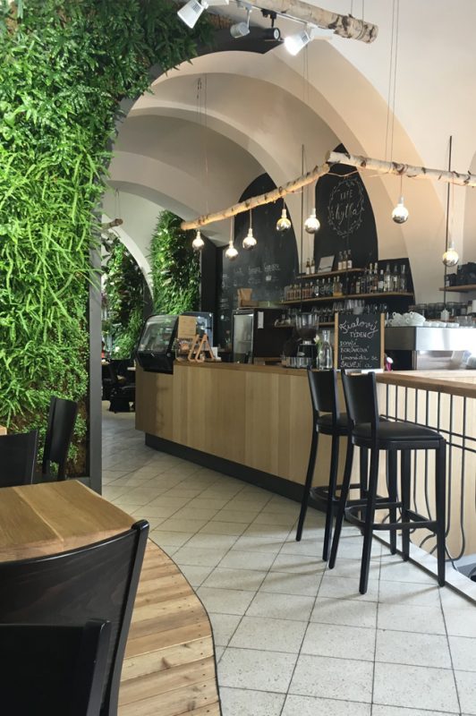 kafe Kytka Liberec, josef trakal