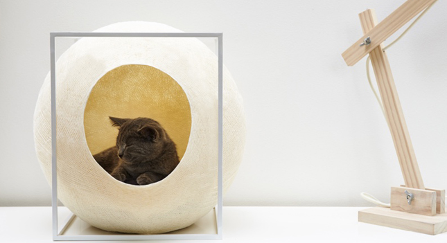 Pelíšek pro kočky, které mají styl, Josef Trakal