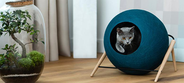 Pelíšek pro kočky, které mají styl, Josef Trakal