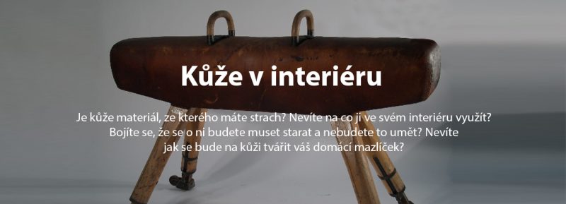 kůže v interiéru, josef trakal